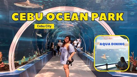 Cebu Ocean Park 2022 Aqua Dining Entrance Fee Schedule Largest