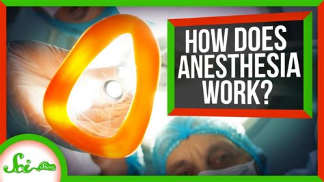 We Finally Know How Anesthesia Works Educational Based