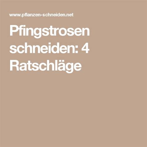 35 top photos pfingstrosen wann zurückschneiden / strauch. Pfingstrosen schneiden: 4 Ratschläge | Pfingstrosen ...