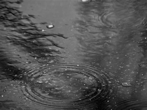 Puddle Water Rain Royalty Free Photo