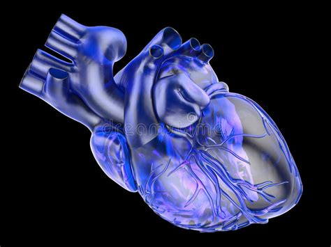 Artificial Human Heart Stock Illustration Illustration Of Heart 28682730