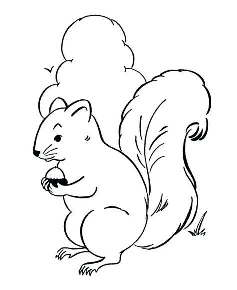 Woodland Animals Coloring Pages Simple Coloring Pages