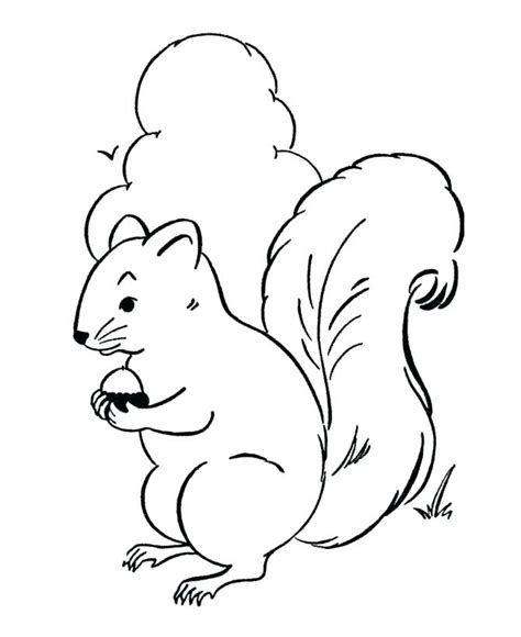 Create and order your book today! Woodland Animal Coloring Pages at GetDrawings | Free download