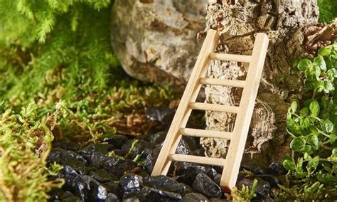 Wood Ladder Fairy Garden Miniature Climb The Miniature Fairy Garden