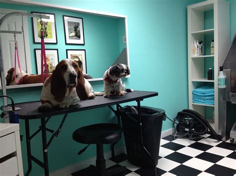 Dog Grooming Shed Ideas