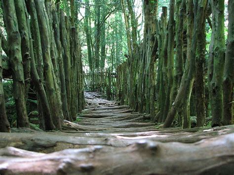 Puzzlewood Tolkiens Inspiration For Middle Earth ~ Kuriositas