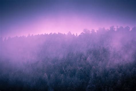 Purple Mountain Fog Landscape Scenery Purple