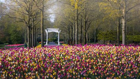 Vườn Hoa đẹp Nhất Thế Giới đóng Cửa Sau 71 Năm Nhiếp ảnh Gia Tò Mò