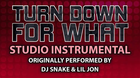 Turn Down For What Cover Instrumental In The Style Of Dj Snake Lil