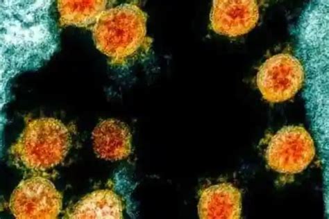 May 29, 2021 · albany, n.y. Lambda COVID-19 strain remains a variant of interest | Sagisag
