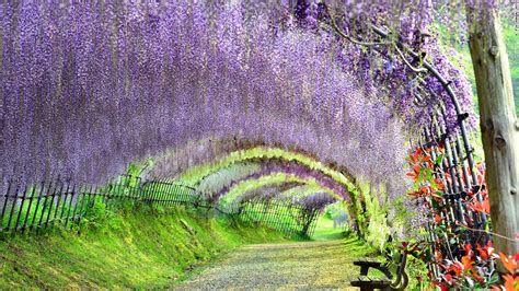 Japans 31 Most Beautiful Places