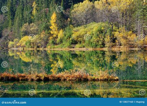 Autumn Tree And Lake In Jiuzhaigou Stock Photo Image Of Chinese