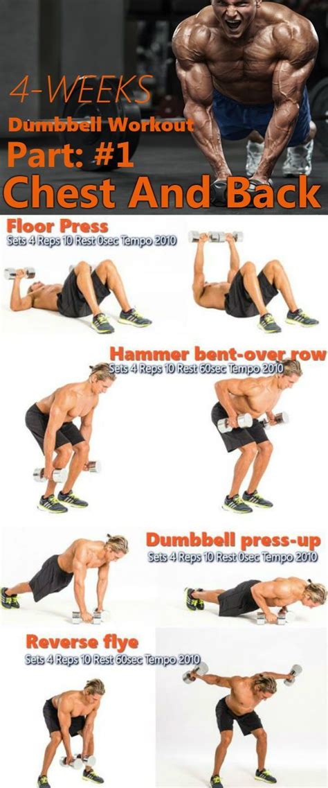 This Is A Fast Paced Dumbbell Strength Training Program For The Back