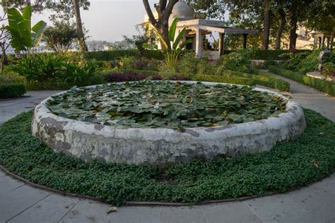 Next, choose a waterlily cultivar that doesn't get terribly big. Lily Pond | Niral's Photoblog