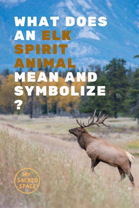 What Does An Elk Spirit Animal Mean And Symbolize My Sacred Space Design