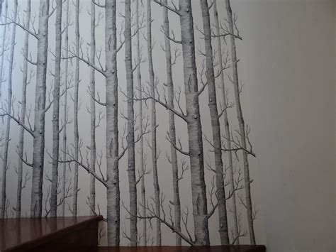 Cole And Sons Trees Wallpaper Installation By Sydney Wallpaperin How To