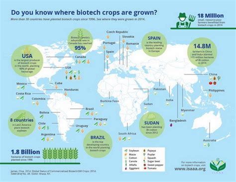 isaaa infographic do you know where biotech crops are grown crop biotech update october 28