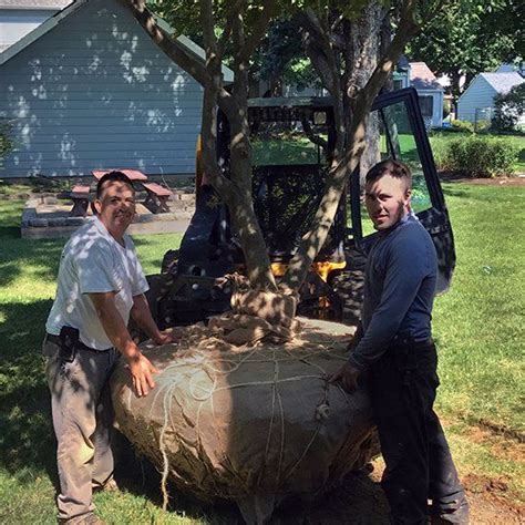Delaware and montgomery counties, pa. Landscaping Maintenance Services | Pine Brook Landscaping