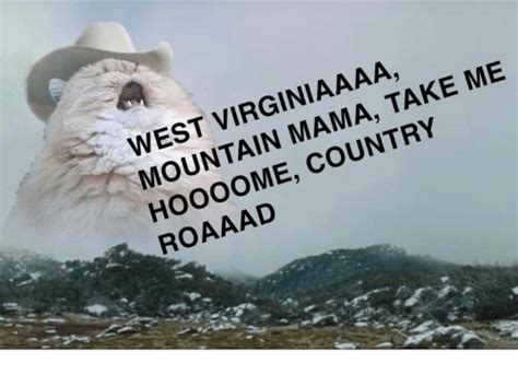 Press the ← and → keys to navigate the gallery, 'g' to view the gallery, or 'r' to view a random image. WEST VIRGINIAAAA MOUNTAIN MAMA TAKE ME HOO0OME COUNTRY ROAAAD | Mama Meme on ME.ME