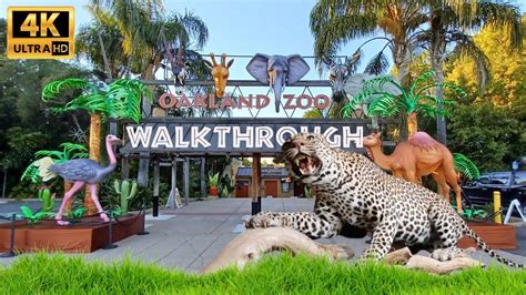 Oakland Zoo Walkthrough 1hr Special Glowfari 1 Day Youtube