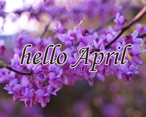 Hello April Pictures Photos And Images For Facebook Tumblr