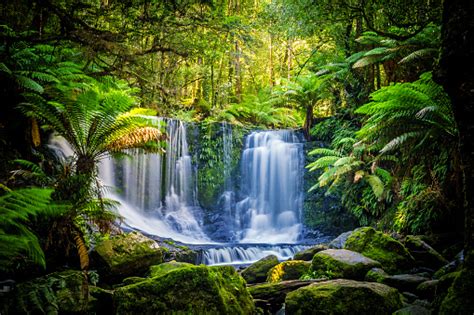 The Horseshoe Falls At The Mt Field National Park Tasmania Australia