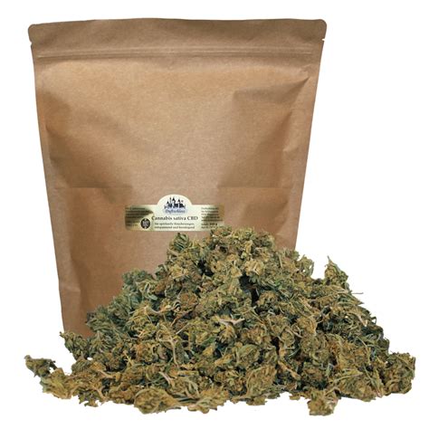 cbd cannabis sativa 250 gramm blüten outdoor im beutel schweiz
