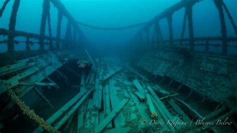 Learn More About The Westmoreland Shipwreck The Scuba News