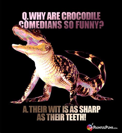 Alligator Jokes Crocodile Puns Reptile Humor 2