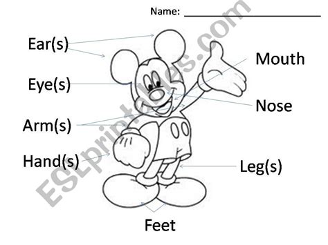 Esl English Powerpoints Body Parts Mickey Mouse Activity Sheet