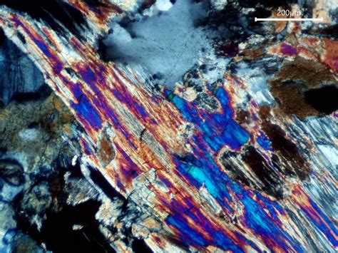 Minerali Delle Rocce Metamorfiche Al Microscopio