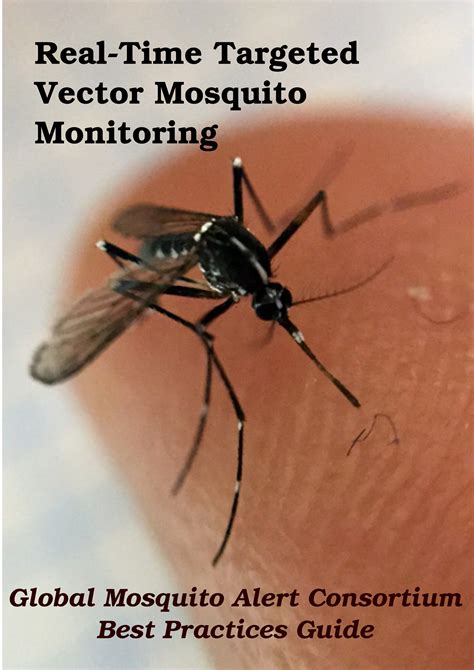 Global Mosquito Alert