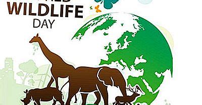 Este 3 de março é o dia mundial da vida selvagem. O Que É Uma Planície Abissal? | 2020