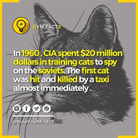 Acoustic Kitty Was The Project Launched By The Cia To Spy On Soviet