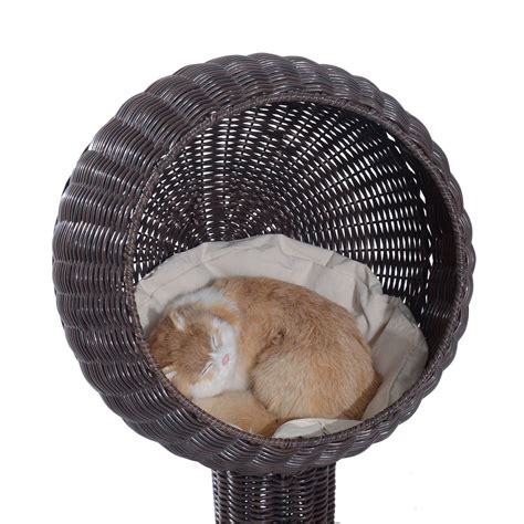 20 Elevated Wicker Cat Bed