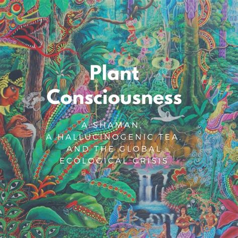 Plant Consciousness A Shaman A Hallucinogenic Tea And The Global