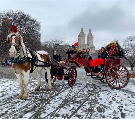 Central Park Horse Carriage Rides During Winter Season