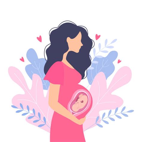 Pregnant Belly Drawing Illustrations Royalty Free Vector Graphics And Clip Art Istock
