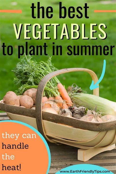 Vegetable farming is the growing of vegetables for human consumption. Best Vegetables to Plant in Summer - Earth Friendly Tips