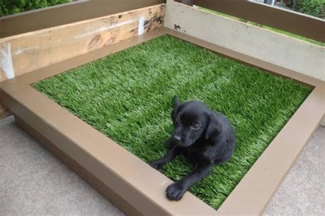 A person with kids or pets will have to clean their grass more frequently than one who doesn't. Best Indoor Dog Potty: A Review of the Best Indoor Dog ...
