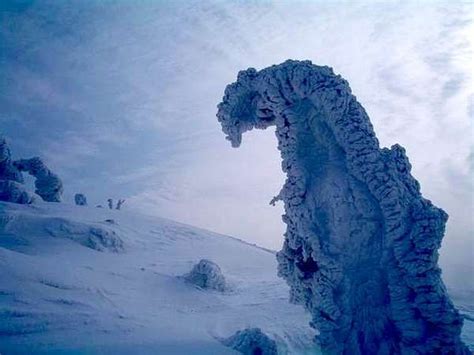 Frozen Fog Sculptures Snow Monsters Of Japan