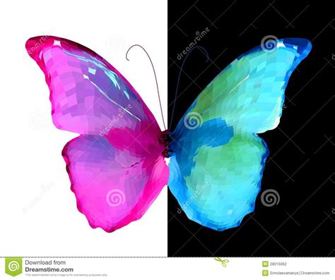Pink And Blue Half Of The Butterfly Vector Stock