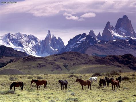 Nature Andes Mountains Patagonia Argentina Desktop Wallpaper Nr 11542