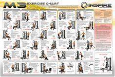 Weider Pro 6900 Exercise Chart Weider 8530 Musculation Fessier