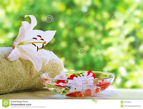 Summer Spa Stock Photo Image Of Healthy Reflecting 18119916
