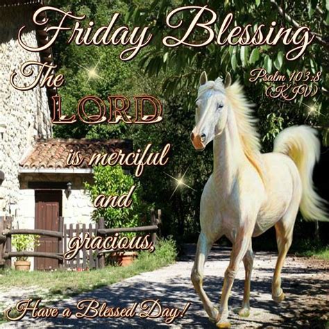 Friday Blessings With Beautiful Horse Pictures Photos And Images For
