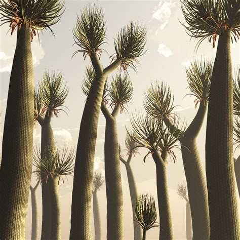 10 Of The Most Fascinating Extinct Trees The Environmentor Conifer