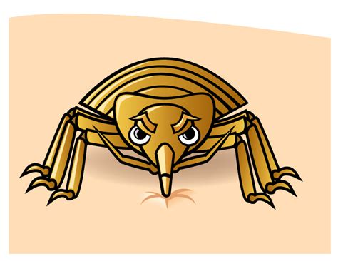 Insects Clipart Bed Bug Picture 1412460 Insects Clipart Bed Bug