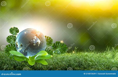 Renewable Energy Concept Earth Day Or Environment Protection Hands