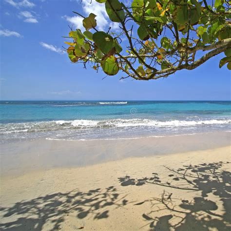 Caribbean Beach Scene Stock Photo Image Of Shadow Water 11842536